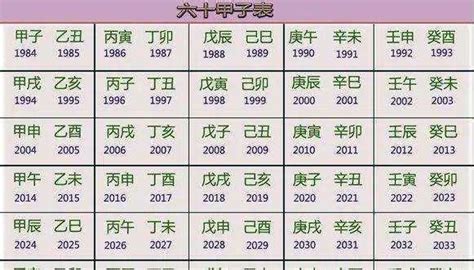 癸午年